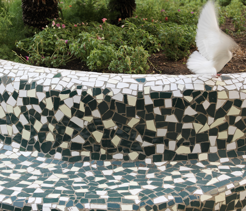 Proyecto realizado en Trencaet